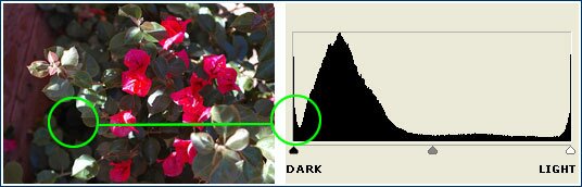 histogram peak on the far left