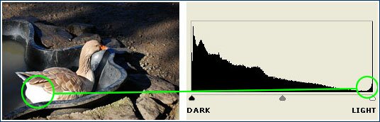 histogram peak on the far right