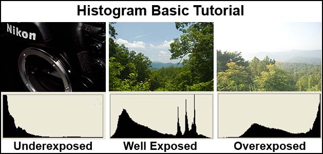 histogram