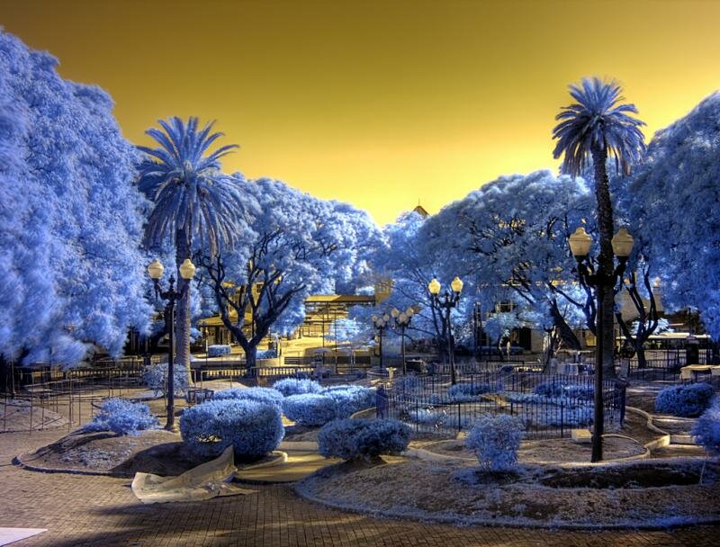 3267170096 04f7d7c9d0 b Infrared Photography