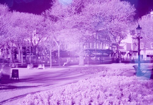 3444826819 66932cd3e1 Infrared Photography