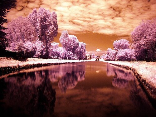 3646695319 3cd10bfc34 Infrared Photography