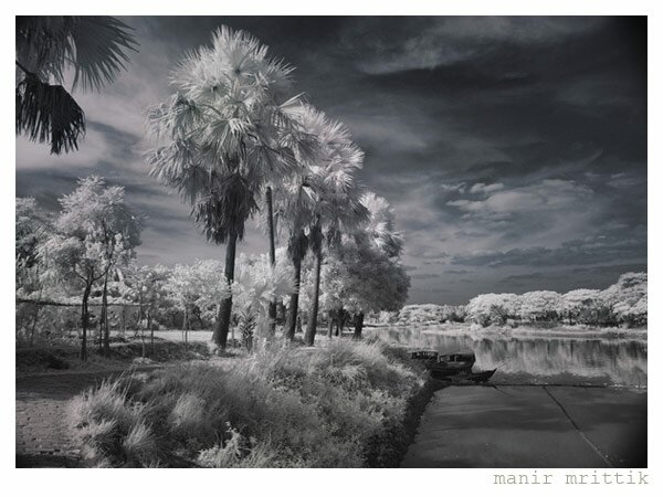 902121230437789 Infrared Photography