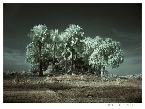 902121230437831 Infrared Photography