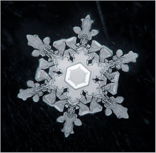 10 Snowflakes