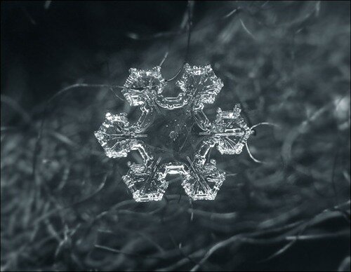 26 Snowflakes